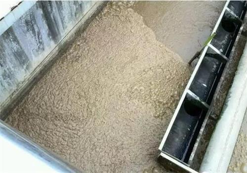廢水處理污泥膨脹 廢水處理污泥膨脹