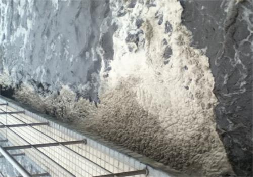 廢水處理氧化溝泥 廢水處理氧化溝泥