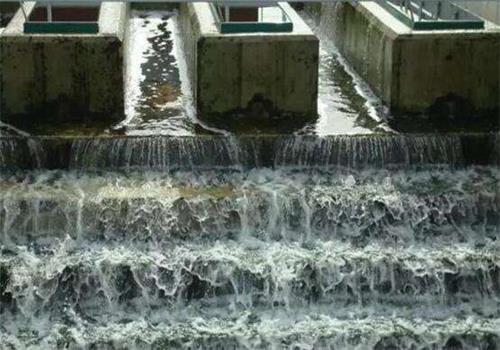 廢水處理活性污泥法1 廢水處理活性污泥法1