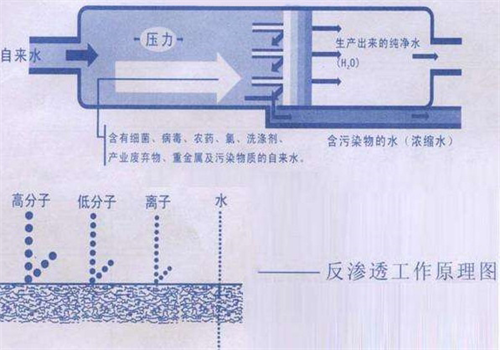 反滲透 反滲透