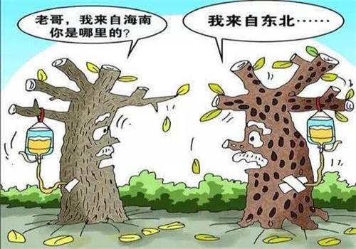 水土不服 水土不服