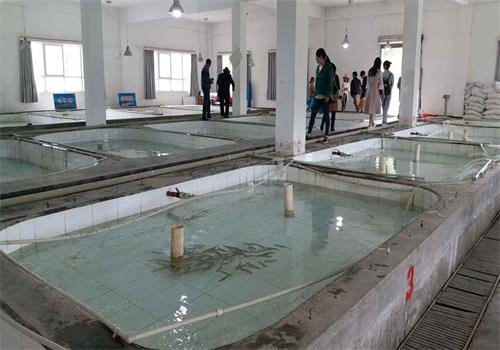 水產養殖 水產養殖