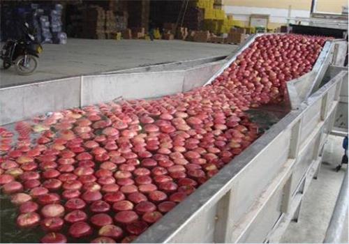 果汁生產 果汁生產