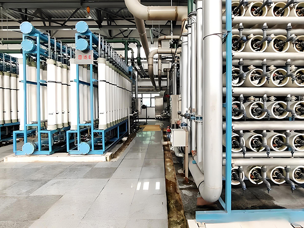 二級(jí)反滲透純水機(jī) 二級(jí)反滲透純水機(jī)